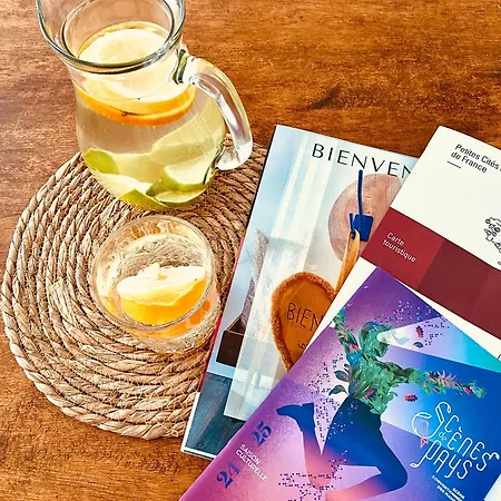 Grande Maison De Malo Leone 250m2 Pour 15 Personnes Proche Du Puy Du Fou * Mauléon