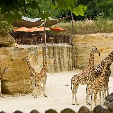 Grande Maison De Malo Leone 250m2 Pour 15 Personnes Proche Du Puy Du Fou Nyaraló Mauléon
