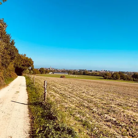 Grande Maison De Malo Leone 250m2 Pour 15 Personnes Proche Du Puy Du Fou Nyaraló