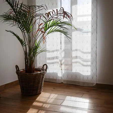 Grande Maison De Malo Leone 250m2 Pour 15 Personnes Proche Du Puy Du Fou Casa vacanze *